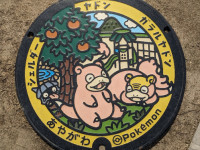 香川県のポケふた｜街角コレクション