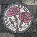 淡路・津名郡（今後マンホールカードになるだろう（と勝手に思ってる）マンホールのコレクション）