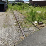 道で分断されたレール（紀州鉄道線・遺構めぐり）
