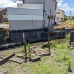 川に分断されたレール（紀州鉄道線・遺構めぐり）