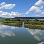 木戸池に残る橋台（天理軽便鉄道・遺構巡り）