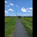 道に転用されている部分（天理軽便鉄道・遺構巡り）