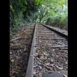 日本一美しい廃線跡その１（倉吉線・遺構めぐりコレクション）