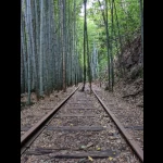 日本一美しい廃線跡その２（倉吉線・遺構めぐりコレクション）