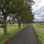 道路となった廃線跡（倉吉線・遺構めぐりコレクション）