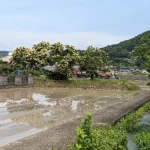 民家裏に残された路線跡（井笠鉄道 矢掛線・遺構めぐり）
