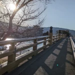 瀬田の唐橋（一風変わった橋）