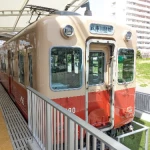赤胴車（兵庫県の保存車両）