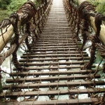 祖谷のかずら橋（一風変わった橋）