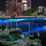 両国橋(LEDライトアップ)（一風変わった橋）
