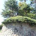 上杉謙信（春日山城）（戦国時代の武将像コレクション）