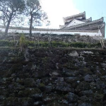 高知城（日本100名城）