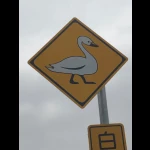白鳥の道路標識（レアな標識）
