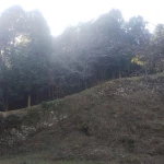 大野城（日本100名城）