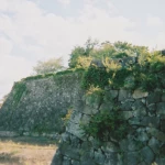 篠山城（日本100名城）