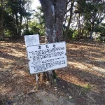 高天神城（続日本100名城）