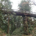 滝山城（続日本100名城）