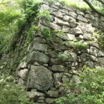 八幡山城（続日本100名城）