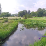 備中高松城（続日本100名城）
