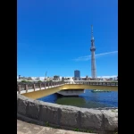桜橋（一風変わった橋）