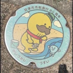 府営二色の浜公園周辺：その2（貝塚市・80周年記念マンホール）