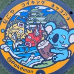 コイキング、ネッコアラ（愛知県のポケふた）