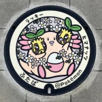 ラッキー、ヒマナッツ（福島県のポケふた）