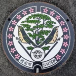 岩出市（30-209-A001）（和歌山県のマンホールカード）