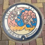 ロコン、ヒコザル（北海道のポケふた）