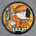 岡崎市（23-202-F001）（愛知県のマンホールカード）