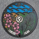 阪南市（27-232-A001）（大阪府のマンホールカード）
